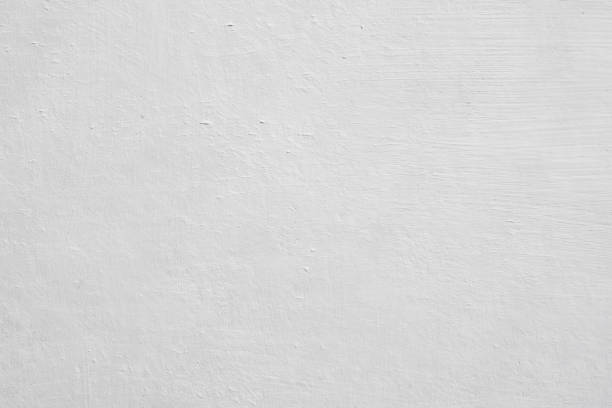 Professional Mold Removal in Occidental, CA